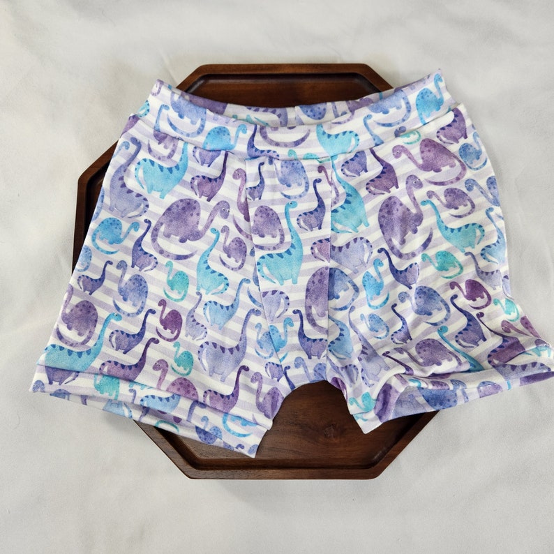 Dinosaur Underwear for Boys, Bamboo Underwear for Girls, Boxer Briefs ...