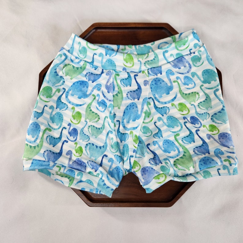 Dinosaur Underwear for Boys, Bamboo Underwear for Girls, Boxer Briefs ...