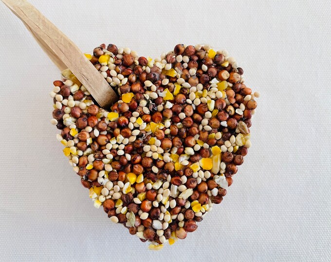 20 Bird Seed Heart Shaped Favors Bird Shaped Personalized Bird Seed