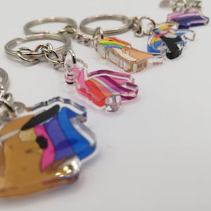 Könnte beinhalten: Eine Sammlung von Schlüsselanhängern mit verschiedenen Pride-Flaggen-Designs. Die Schlüsselanhänger verfügen über transparente Acryl-Anhänger mit farbenfrohen Grafiken, darunter Regenbogen-, lesbische, bisexuelle und andere LGBTQ+-Pride-Flaggen. Jeder Schlüsselanhänger hat einen silbernen Metallring.