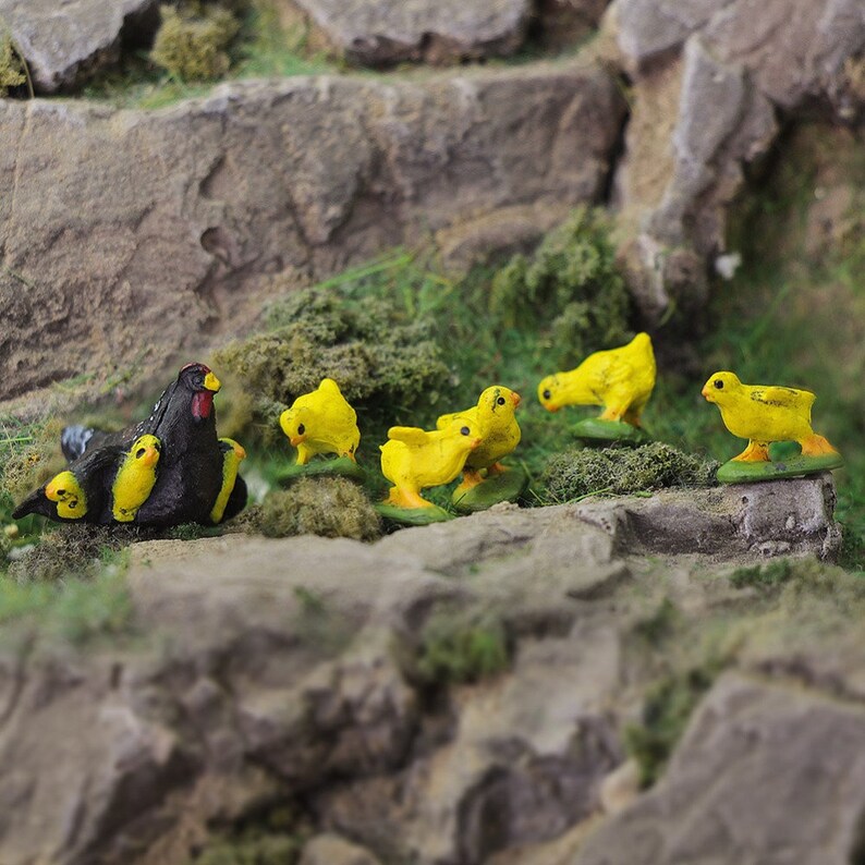 May include: A black hen with a red comb and yellow chicks. The hen is sitting on a rock with the chicks surrounding her. The chicks are all yellow with black eyes.