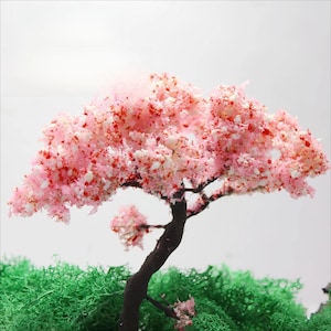 Könnte beinhalten: Ein Miniatur-Kirschblütenbaum mit rosa und weißen Blüten und roten Akzenten. Der Baum hat einen dunkelbraunen Stamm und Äste, vor dem Hintergrund von leuchtend grünem Laub. Der Gesamteffekt ist eine lebendige und zarte Darstellung.