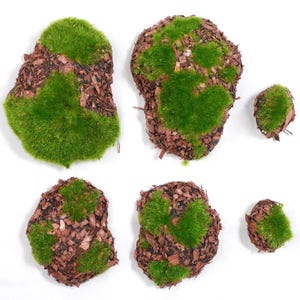 May include: A selection of decorative moss-covered stones. The stones vary in size and shape, featuring bright green moss on a base of brown wood chips. The arrangement is set against a white background, emphasizing the natural textures and colours.