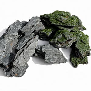 May include: A selection of dark grey, textured rocks, some covered in bright green moss, arranged on a white surface. The rocks vary in size and shape, creating a natural aesthetic. Suitable for aquarium or terrarium decoration.