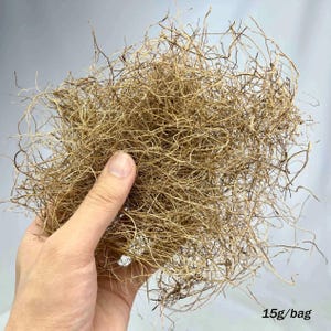 15g/20g simulatie plantmateriaal materiaal voor diorama, modellandschap, miniatuurlandschap, wargamingterrein, wijnstok hooi ambachtelijke benodigdheden