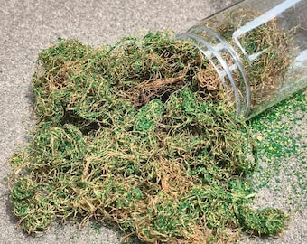 ツル性つる植物の葉、200ml、ミニチュア地形風景