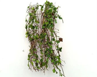 Miniature Ivy Vine Tufts, Fairy Garden Greenery, Diorama Landscaping, Dollhouse Plants, Model Railway Scenery