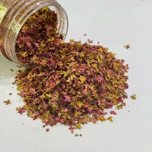 50 ml gesimuleerde bladeren voor modelbomen, diorama&#39;s, microlandschappen, spoorweglandschap, wargaming-terrein, miniatuur DIY