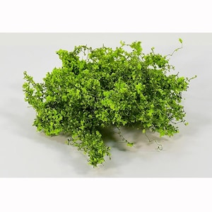May include: Green foliage with a wire-like texture, ideal for model railroading or miniature landscaping.