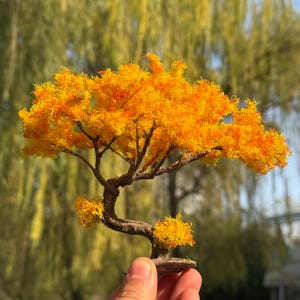 Peut inclure: Un arbre miniature avec un tronc et des branches bruns, orné d'un feuillage orange et jaune vif. L'arbre est tenu dans une main, mettant en valeur sa petite taille et son artisanat détaillé. Les feuilles sont faites d'un matériau texturé.