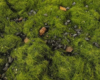 Miniature Ground Grass & Rock 50g, DIY Diorama Model Supplies