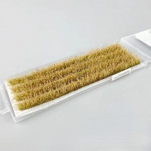 May include: A clear plastic container holding a rectangular arrangement of dried, light brown grass tufts. The grass is densely packed and appears to be a model-making material. A small label is visible on the container.