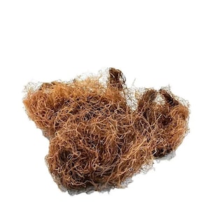 Peut inclure: Un amas de matière fibreuse brune, ressemblant à des fibres végétales séchées ou à de l'écorce déchiquetée, sur fond blanc. La texture semble dense et emmêlée, avec des nuances de brun.