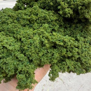 May include: A handful of vibrant green model foliage, perfect for crafting miniature landscapes. The textured material mimics the appearance of dense, leafy trees and bushes. Ideal for model train layouts, dioramas, and other craft projects.