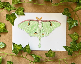 Kunstdruck - Luna Motte Aquarell Malerei, Entomologie Illustration Wandkunst