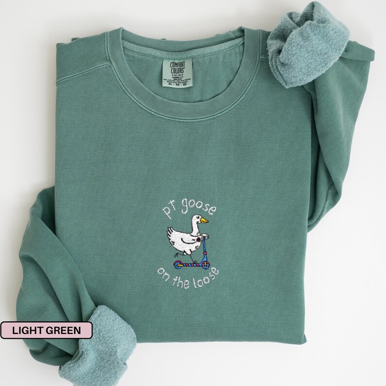 Broderad sjukgymnasttröja Broderad sjukgymnasttröja för sjukgymnast Gåva till sjukgymnast Sjukgymnasttröja Light Green