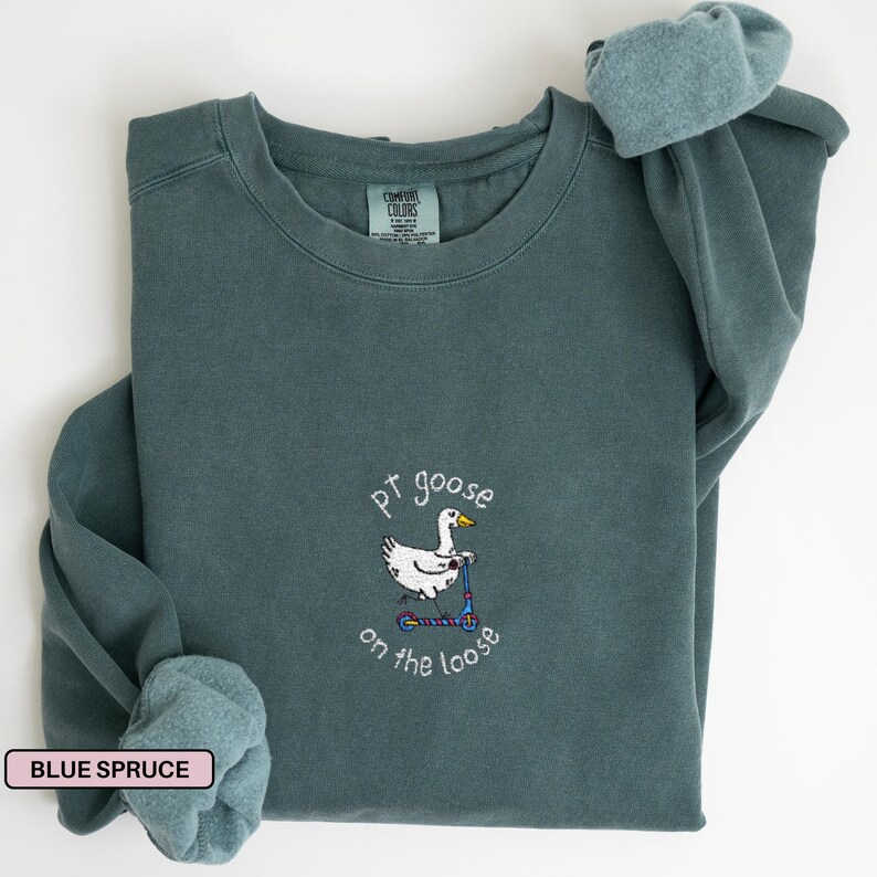 Broderad sjukgymnasttröja Broderad sjukgymnasttröja för sjukgymnast Gåva till sjukgymnast Sjukgymnasttröja Blue Spruce