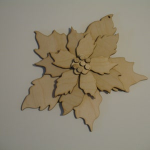 Poinsettia Fiore