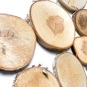 Dried IMPERFECT Unfinished Wood Slices for Crafts, Wood Slice, 3-5 Inch Wide, Set of 10