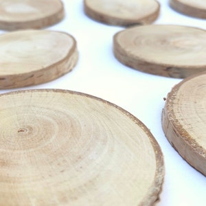 Dried Birch Wood Slices for Crafts, Wood Slice Ornaments, 3.5 - 4 inch Wide, White Birch Wood Slices, Set of 10