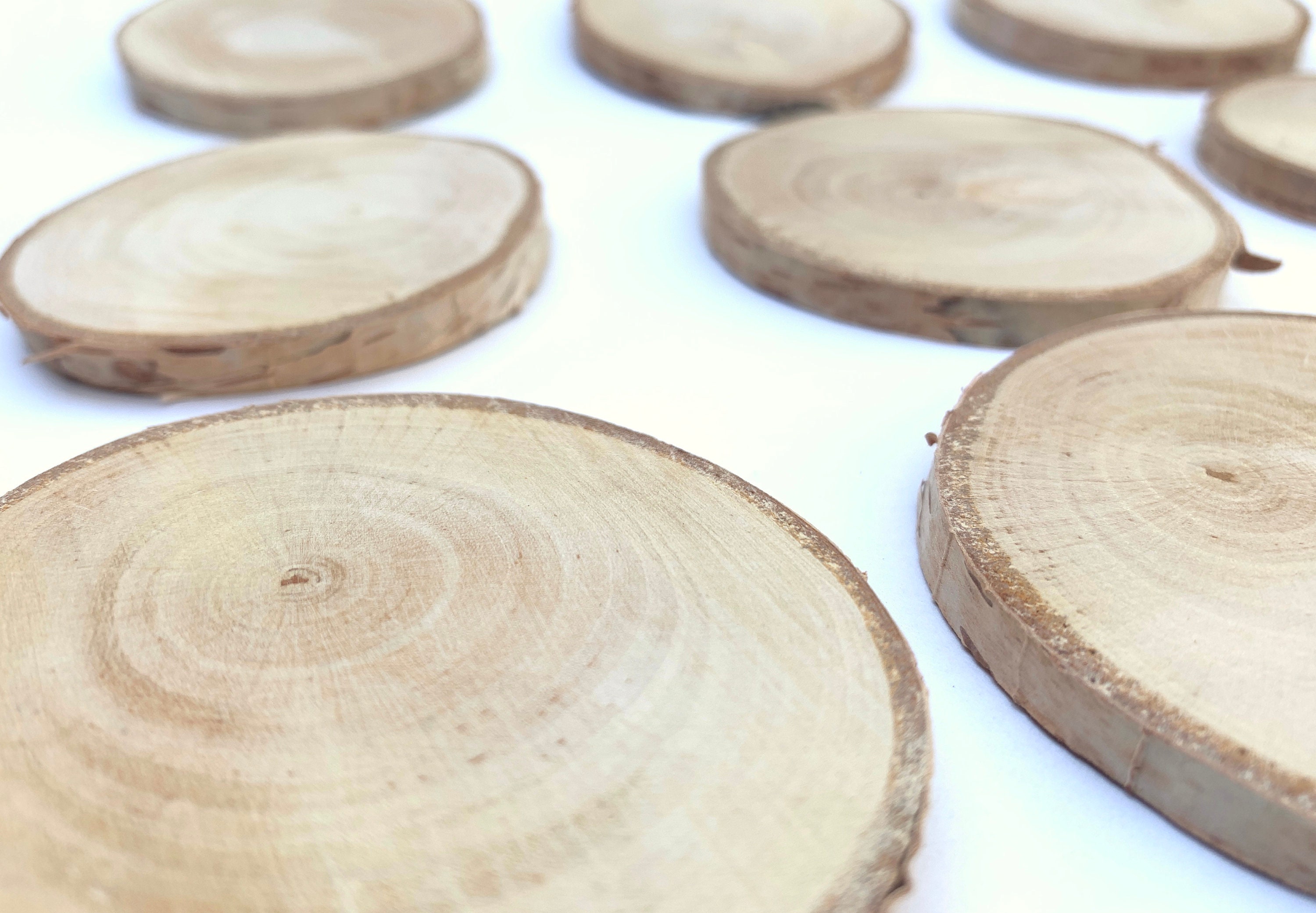 40 PCS Natural Wood Slices 3-1/2 Diameter Round Tree Limb Slices