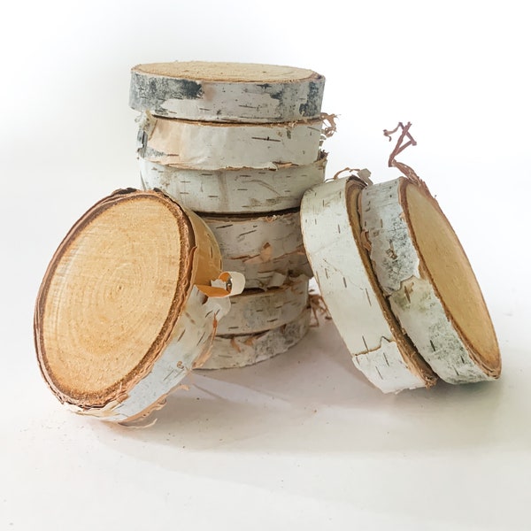 Dried Birch Wood Slices for Crafts, Gift Tags or Stocking Tag, 2-2.5 inch Wide, White Birch Log Slices, Set of 10