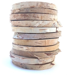 Rodajas de madera secas sin terminar para posavasos, rodaja de madera, 4-5 pulgadas de ancho, juego de 5