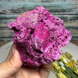 May include: A vibrant, textured, fuchsia-colored mineral specimen. The rock has a porous, coral-like appearance with a crystalline surface. The specimen is held in a hand, with a blurred background of wood and flowers.