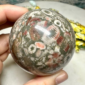 May include: A spherical decorative object made from a composite of fossilized shells and minerals. The sphere displays a mosaic of colours, including grey, brown, white, and reddish-pink. The polished surface reflects light, highlighting the natural patterns of the materials.
