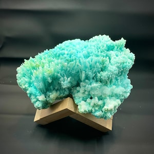 May include: A cluster of blue-green celestite crystals on a wooden display stand. The crystals are delicate and have a soft, powdery texture.