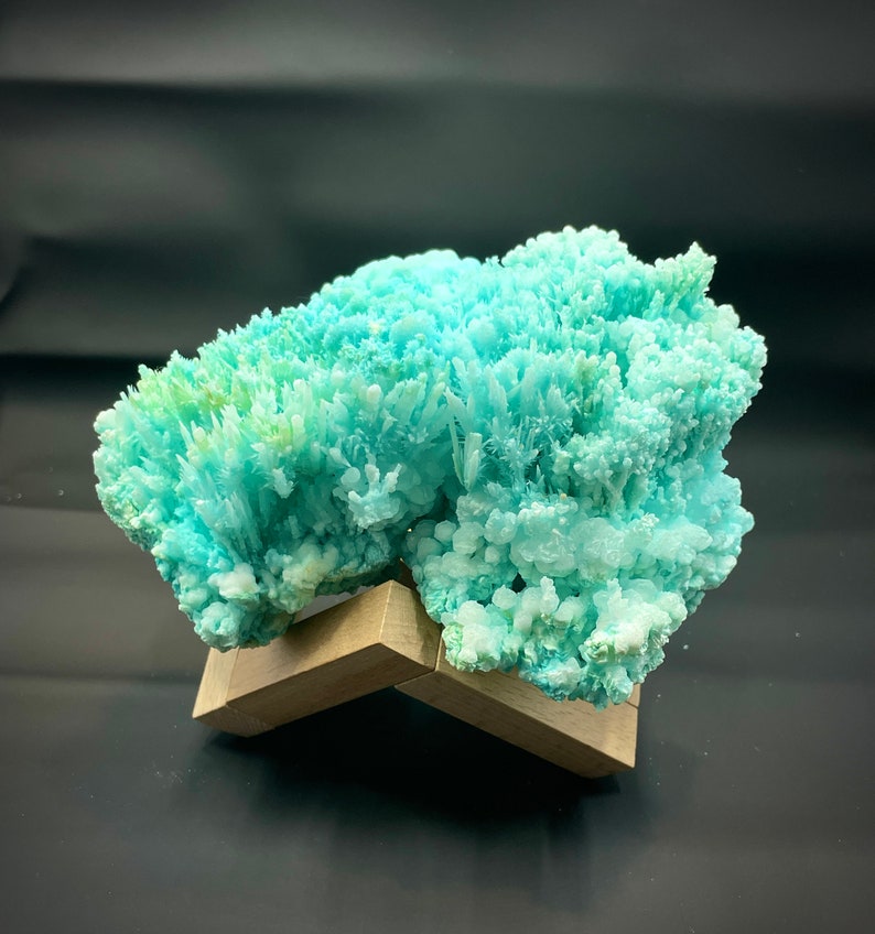 May include: A cluster of blue-green celestite crystals on a wooden display stand. The crystals are delicate and have a soft, powdery texture.