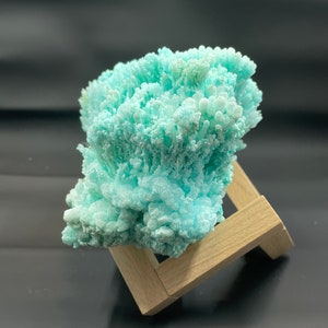 May include: A light blue, coral-like mineral specimen on a wooden display stand. The mineral has a delicate, feathery texture.