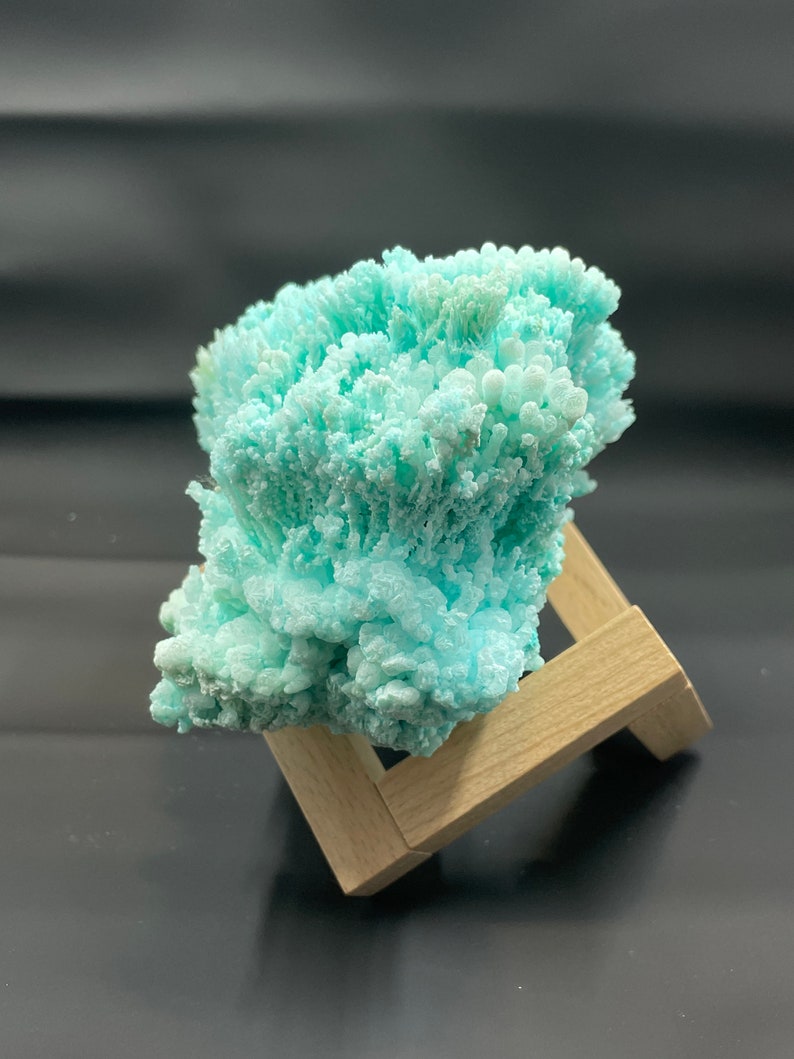 May include: A light blue, coral-like mineral specimen on a wooden display stand. The mineral has a delicate, feathery texture.