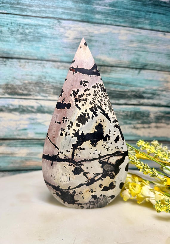 希少な逸品✨️デンドリティックピクチャージャスパー(ピクチャージャスパー)✨️ まるで樹枝が化石化したかのような精緻な模様！全面にデンドライトが 置物
