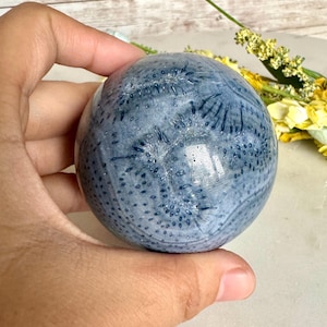 RARE! 67mm Blue Coral Fossil Sphere/with stand/amazing patterns