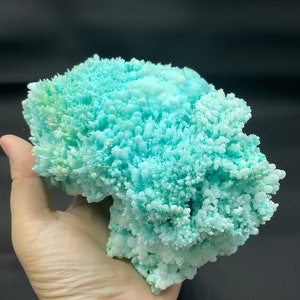May include: A large, light blue, crystalline formation with a cauliflower-like texture. The formation is made of many small, delicate crystals.