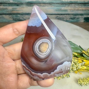 May include: A polished, teardrop-shaped agate stone featuring concentric bands of deep reddish-brown, translucent gray, and opaque white. The center contains a small, textured, light-colored druzy geode formation surrounded by circular rings.