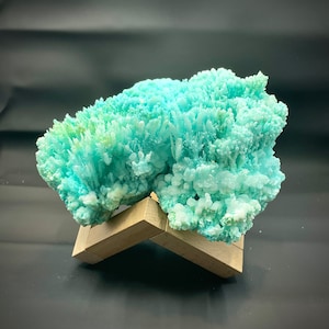 May include: A cluster of turquoise blue and green crystals on a wooden stand. The crystals are arranged in a natural, organic shape, resembling a small bush or tree.