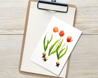 Juego de 10 postales de acuarela con tulipanes, tarjetas florales mate, pinturas botánicas sueltas, tarjetas planas para cualquier ocasión.