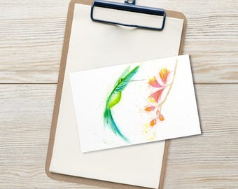Postales de colibríes en acuarela / Juego de 10 tarjetas con ilustraciones de aves a color