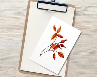 Postales de acuarela de rosa mosqueta / Papelería botánica otoñal, juego de 10