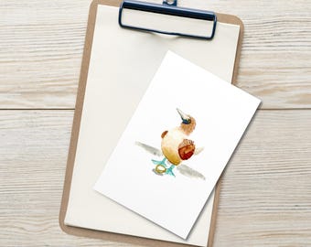 Postales de acuarela de piquero patiazul / Papelería artística con aves costeras (juego de 10)