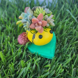 May include: A yellow bee-shaped planter with black stripes and a green heart-shaped base. The planter is filled with a variety of succulents, including green, pink, and purple varieties.