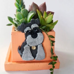 May include: A small orange planter with a gray and black miniature schnauzer figurine on the front. The planter is filled with succulents and has a small drainage tray.
