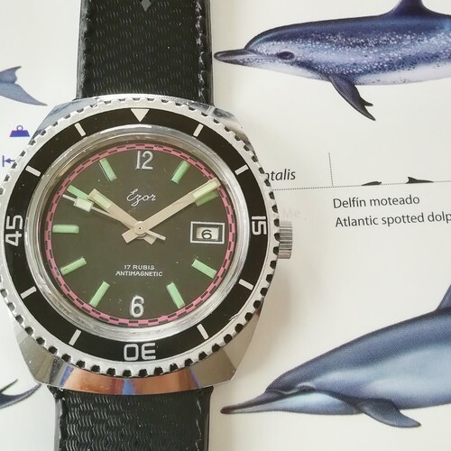 EZOR diver shops vintage watch, 38 mm, 1970s, working and serviced