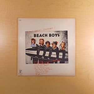 The Beach Boys: Wow! Great Concert!, Vintage Vinyl Record Album Lp, 1972