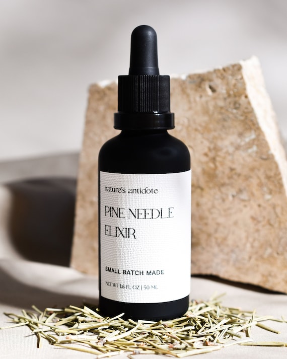 Pine Needle Elixir Eastern White Pine & Moringa Oil Infusion Etsy
