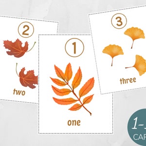Dinosaur number flashcards 1-10, Montessori Activity, Summer Math Activity, Montessori Summer Preschool Game, Homeschool