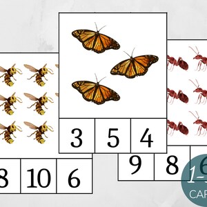 Insect count and clip cards 1-10, Montessori Activity, Summer Math Activity, Montessori Summer Preschool Game, Homeschool