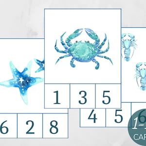 Ocean count and clip cards 1-10, Montessori Activity, Summer Math Activity, Montessori Summer Preschool Game, Homeschool